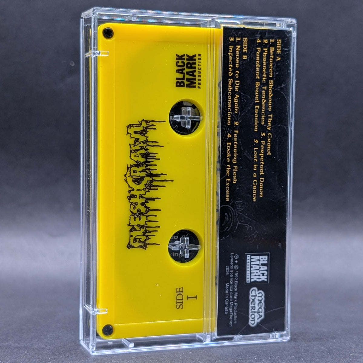 Fleshcrawl - Descend Into The Absurd Tape – Dissonant Tapes