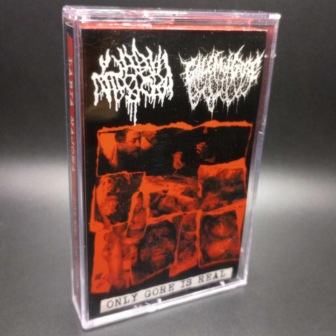 Labia Majora / Golem of Gore - Only Gore Is Real Split Tape
