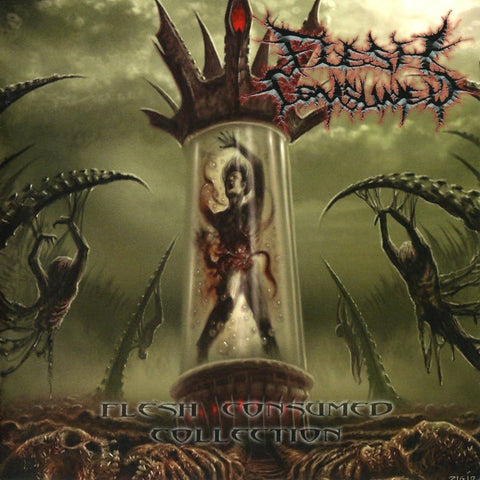 Flesh Consumed - Collection CD