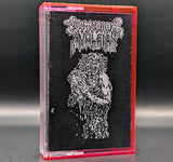 Purtenance Avulsion - Demo 1 '91 Tape