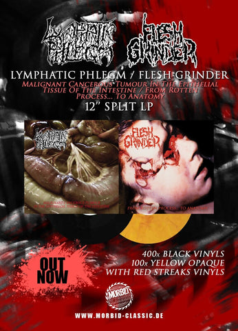 Lymphatic Phlegm/Flesh Grinder Split Vinyl