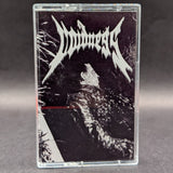 Voidness - S/T Tape (2022 Sunshine Ward)[USED]