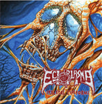 Ectoplasma – Skeletal Lifeforms CD